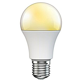 Muvit iO Bombilla LED inteligente White (8 W, E27, Blanco frío, 1 ud.)