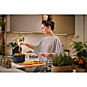 Skaza Kompostnik Organko Daily  (3,3 l, 24 x 20,5 x 17 cm, Črna) | 7488 - Komposter | IAGG - Gartenartikel | IAG - Außenbereichsausstattung | IA - Gartenhartware | I - Stadtgarten | BAUHAUS