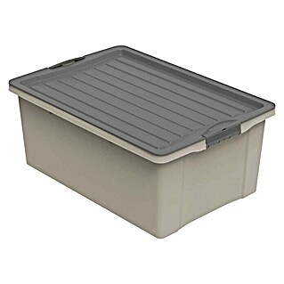 Rotho Stapelbox Compact (L x B x H: 57 x 40 x 25 cm, Kunststoff, Cappuccino)