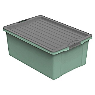 Rotho Stapelbox Compact (L x B x H: 57 x 40 x 25 cm, Kunststoff, Mistletoe Grün)