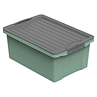 Rotho Stapelbox Compact (L x B x H: 39,5 x 27,5 x 18 cm, Kunststoff, Mistletoe Grün)