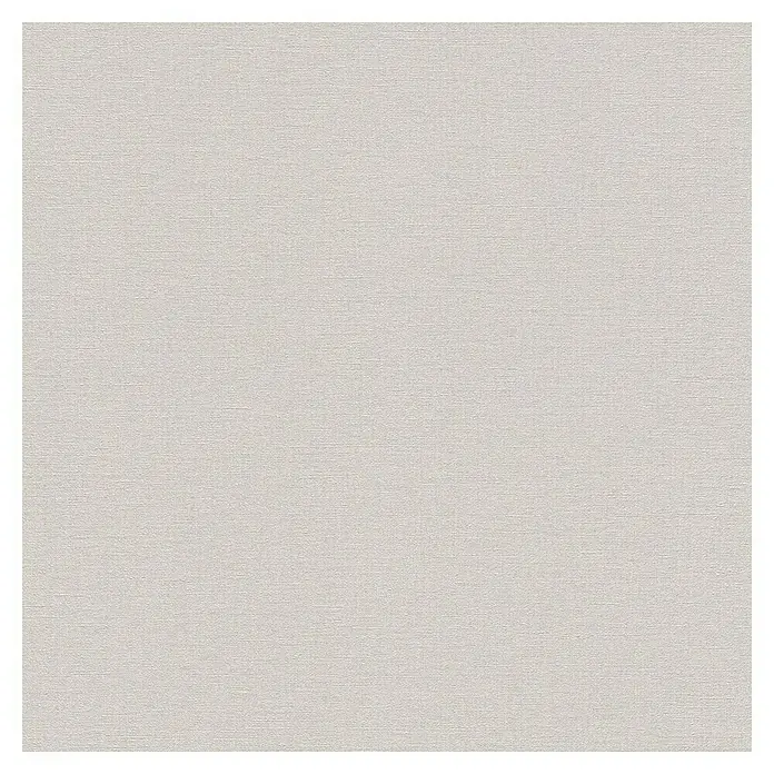Rasch Salsa Vliestapete Textilstruktur - Hellgrau, Uni, 10,05 x 0,53 m - Grauer Hintergrund mit feiner Textur für kreative Projekte. Neutral und vielseitig, perfekt für digitale Designs und Präsentationen.