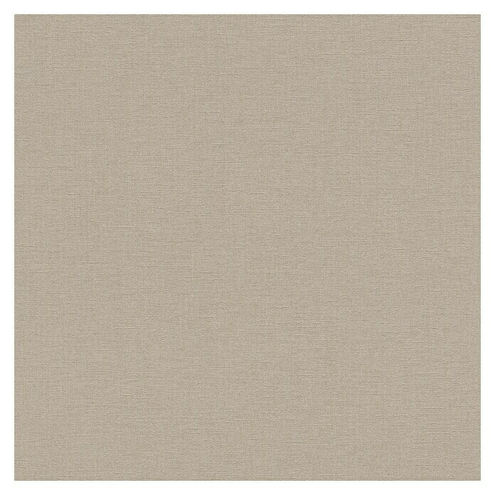 Rasch Salsa Vliestapete (Braun, Uni, 10,05 x 0,53 m)