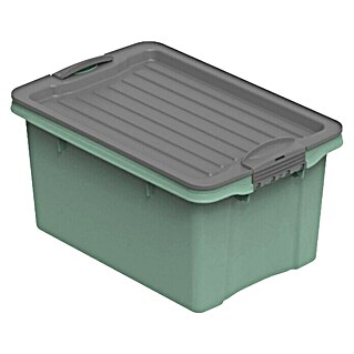 Rotho Stapelbox Compact (L x B x H: 27 x 18,5 x 15 cm, Kunststoff, Mistletoe Grün)