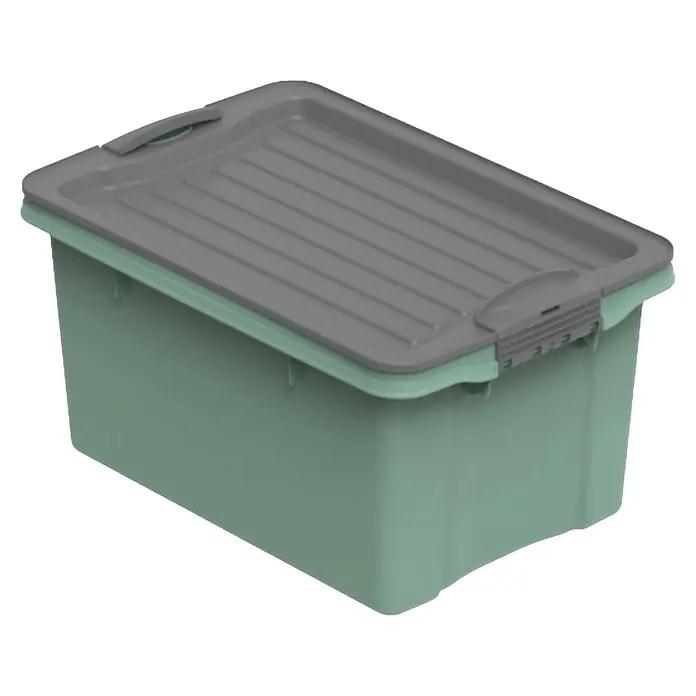 Rotho Aufbewahrungsbox Compact - L x B x H: 27 x 18,5 x 15 cm, Kunststoff, Mistletoe Grün - Grüne Aufbewahrungsbox mit grauem Deckel, ideal zur Organisation von Gegenständen. Die Box ist robust und bietet viel Stauraum.