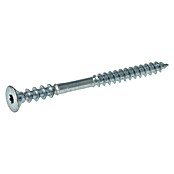 Profi Depot Justierschraube VZ (Durchmesser: 6 mm, Länge: 80 mm, TX für TORX-Antriebe, 100 Stk.)