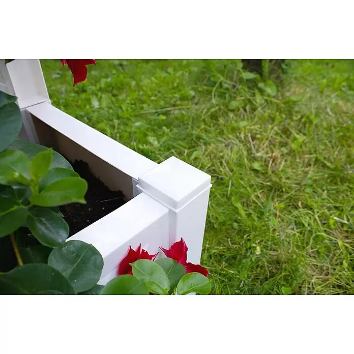 KHW Rosenbogen - Weiß, 174 x 43 x 207 cm, Ausstattung: 2 Pflanzkästen - Weiße PVC-Hochbeet-Ecke mit Kappe, gefüllt mit Erde, grünen Blättern und roten Blüten.