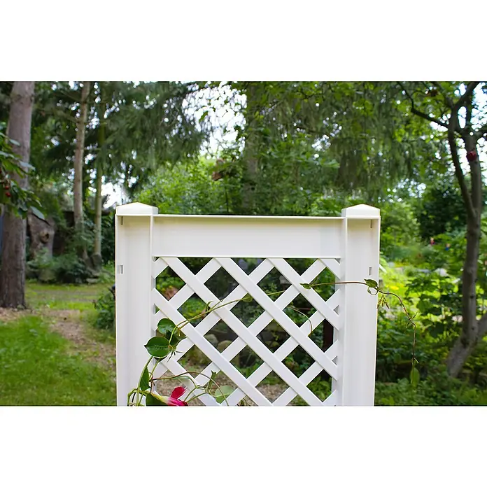 KHW Pflanzkasten - Außenmaß (L x B x H): 43 x 43 x 140 cm, Kunststoff, Weiß, Mit Rankgitter, 2 Stk. - Nahaufnahme eines weißen Kunststoff-Rankgitters mit sich windenden Pflanzen und Blumen vor einem Gartenhintergrund.