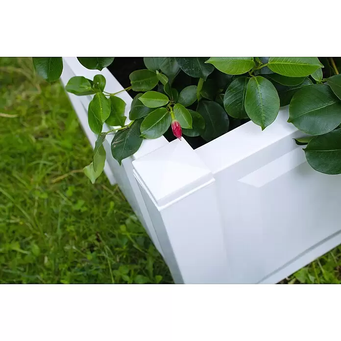 KHW Gartenbank Kopenhagen - B x T x H: 174 x 49 x 139 cm, Weiß - Weißer Pflanzkübel mit grünen Pflanzen und einer roten Blütenknospe.