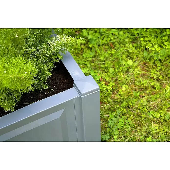 KHW Pflanzkasten - Außenmaß (L x B x H): 100 x 43 x 140 cm, Kunststoff, Grau - Hellgraues Metall-Pflanzkasten-Eckstück mit einer lebendigen grünen Pflanze und dunkler Erde.