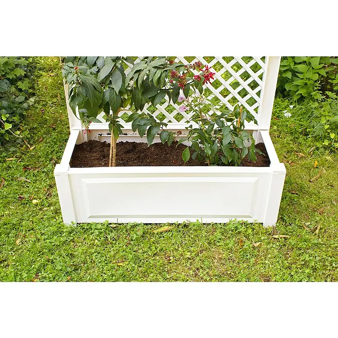 KHW Pflanzkasten - Außenmaß (L x B x H): 100 x 43 x 140 cm, Kunststoff, Weiß - Der Pflanzkasten mit Rankgitter ist aus weißem Kunststoff gefertigt und mit Pflanzen bepflanzt. Er steht auf einer grünen Rasenfläche im Garten.