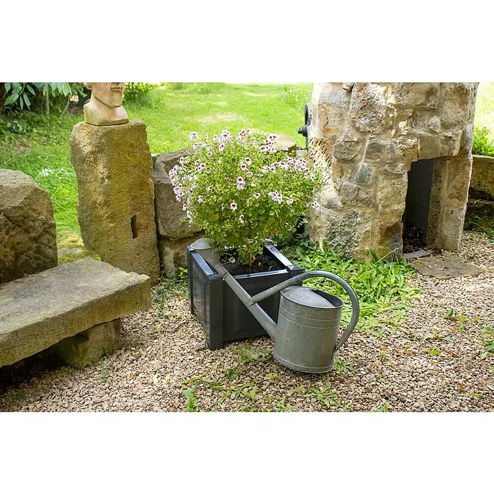 KHW Pflanzkasten - Außenmaß (L x B x H): 43 x 43 x 41 cm, Kunststoff, Anthrazit - Ein quadratischer, dunkler Pflanzkübel mit üppigen weißen und lilafarbenen Blumen, ergänzt durch eine Zinkgießkanne in einer malerischen Gartenszene.