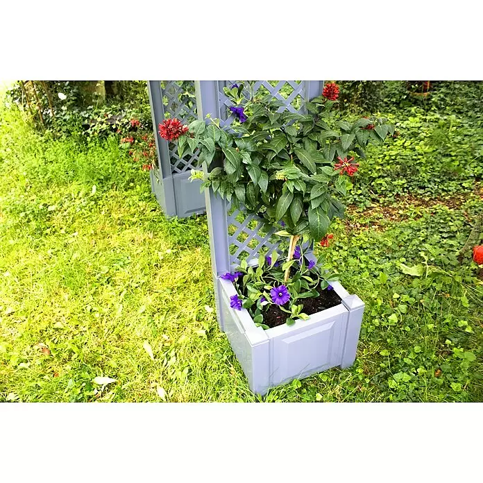 KHW Rosenbogen - Grau, 174 x 43 x 207 cm, Ausstattung: 2 Pflanzkästen - Grauer Pflanzkasten mit integriertem Spalier, gefüllt mit Blumen.