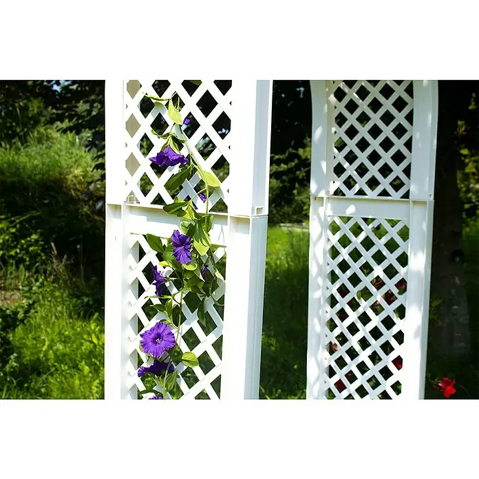 KHW Gartenbank Brüssel - B x T x H: 174 x 49 x 207 cm, Weiß - Nahaufnahme eines weißen Gartenbogens mit lila Blütenranken, der einen charmanten Akzent im Garten setzt und das Auge erfreut.