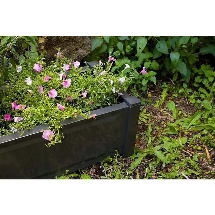 KHW Pflanzkasten - Außenmaß (L x B x H): 100 x 43 x 34 cm, Kunststoff, Anthrazit - Schwarzes Pflanzgefäß mit rosa und weißen Blüten. Perfekt für den Garten, um eine farbenfrohe Atmosphäre zu schaffen und Pflanzen stilvoll zu präsentieren.