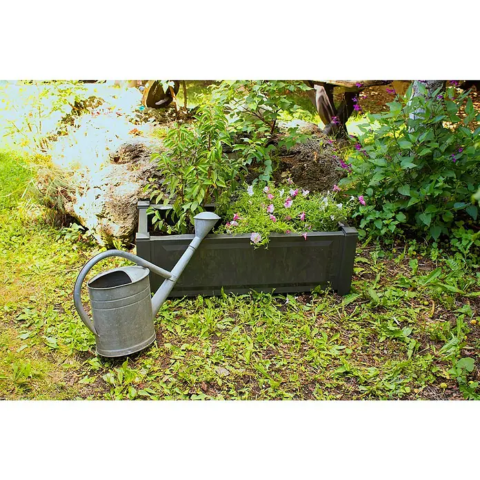 KHW Pflanzkasten - Außenmaß (L x B x H): 100 x 43 x 34 cm, Kunststoff, Anthrazit - Eine Zinkgießkanne lehnt an einem schwarzen Pflanzkasten mit bunten Blumen in einem üppigen Garten, der eine friedliche Gartenszene einfängt.