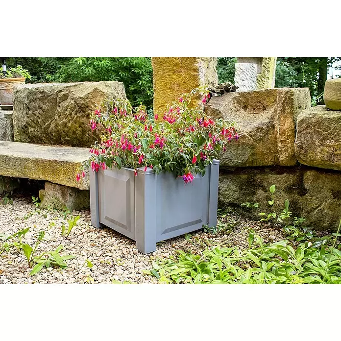 KHW Pflanzkasten - Außenmaß (L x B x H): 43 x 43 x 41 cm, Kunststoff, Grau - Graues, quadratisches Pflanzgefäß mit leuchtend rosa Fuchsiablüten, draußen vor Naturstein und Kies.