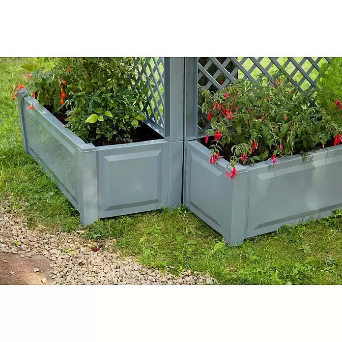 KHW Pflanzkasten - Außenmaß (L x B x H): 100 x 43 x 140 cm, Kunststoff, Grau, Mit Spalier - Grauer L-förmiger Pflanzkübel mit Rankgitter, gefüllt mit Pflanzen und roten Fuchsieblüten, im Garten auf Gras und Kiesweg.