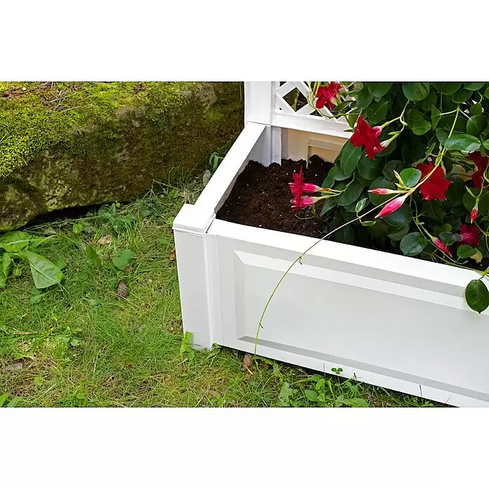 KHW Pflanzkasten - Außenmaß (L x B x H): 100 x 43 x 140 cm, Kunststoff, Weiß, Mit Spalier - Weißer Pflanzkasten mit Spalier und roten Blumen auf Gras neben einem moosigen Felsen.