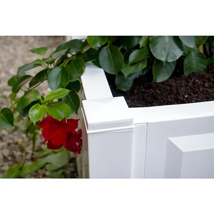 KHW Pflanzkasten - Außenmaß (L x B x H): 43 x 43 x 41 cm, Kunststoff, Weiß - Nahaufnahme eines weißen Blumenkastens mit roten Blüten und grünen Blättern. Der Blumenkasten ist modern und stilvoll gestaltet.