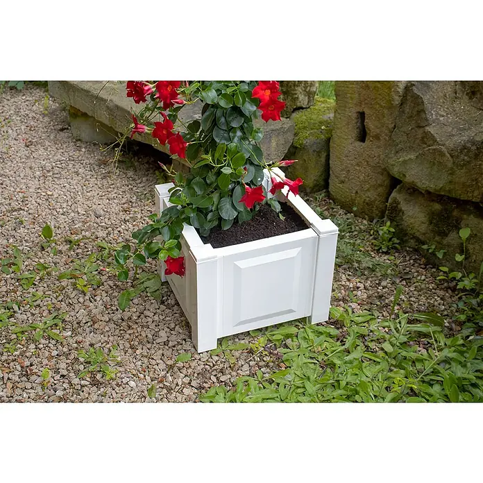 KHW Pflanzkasten - Außenmaß (L x B x H): 43 x 43 x 41 cm, Kunststoff, Weiß - Der weiße Pflanzkasten mit üppigen roten Blüten ist ein attraktives Gestaltungselement für Gärten und Terrassen.