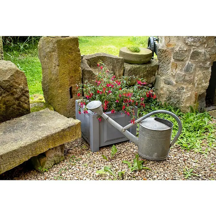 KHW Pflanzkasten - Außenmaß (L x B x H): 43 x 43 x 41 cm, Kunststoff, Grau - Graue Gießkanne neben einem grauen Pflanzgefäß mit roten Blüten in einem Steingarten, der einen Hauch von rustikalem Charme versprüht.