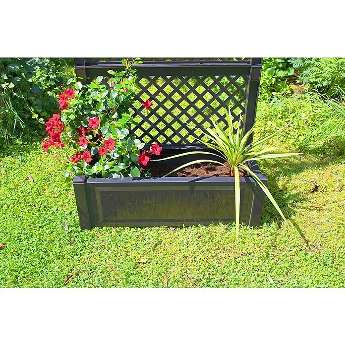 KHW Pflanzkasten - Außenmaß (L x B x H): 100 x 43 x 140 cm, Kunststoff, Anthrazit - Ein rechteckiger Pflanzkasten mit Rankgitter, bepflanzt mit roten Blumen und einer Yucca-Palme, steht im Garten.