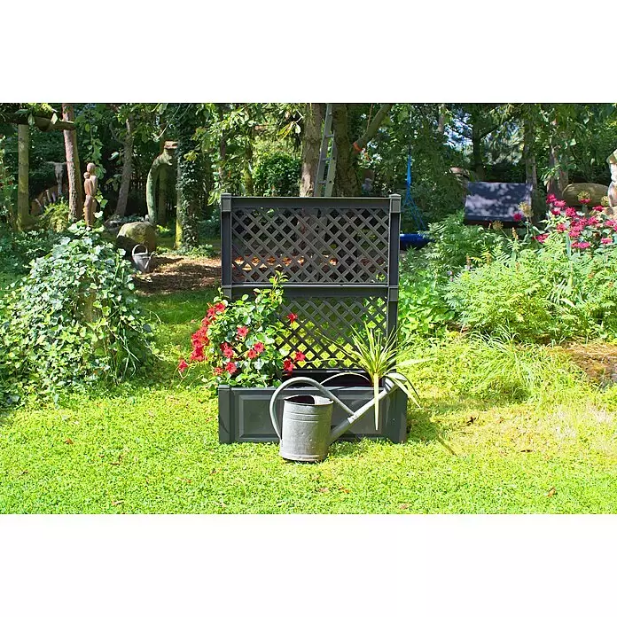 KHW Pflanzkasten - Außenmaß (L x B x H): 100 x 43 x 140 cm, Kunststoff, Anthrazit - Dunkelgraues Pflanzgefäß aus Kunststoff mit integriertem Rankgitter und roten Kletterblumen.