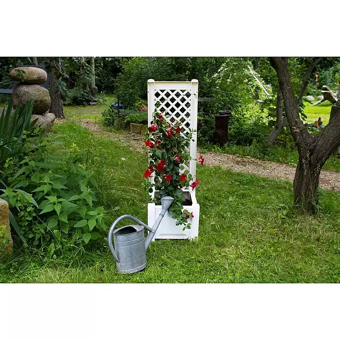 KHW Pflanzkasten - Außenmaß (L x B x H): 43 x 43 x 140 cm, Kunststoff, Weiß, Mit Rankgitter, 2 Stk. - Weißer Rankgitter-Pflanzkasten aus Kunststoff mit roten Blütenranken im Garten.