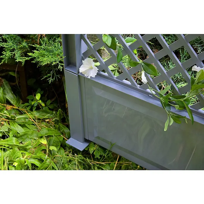 KHW Sichtschutz-Rankgitter - 100 x 140 cm, Grau - Nahaufnahme einer grauen Gartenpergola mit weißen Blüten, eingebettet in üppiges Grün, die eine ruhige Gartenecke betont.