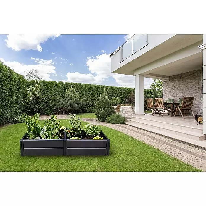 KHW Hochbeet Demeter L - 158 x 82 x 31 cm, Kunststoff, Anthrazit - Schwarzes Hochbeet mit Pflanzen in einem Gartenambiente.