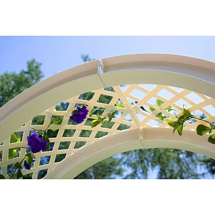 KHW Rosenbogen - Weiß, 100 x 43 x 207 cm - Eleganter cremefarbener Gartenbogen mit Rankgitter für Kletterpflanzen, geschmückt mit leuchtend violetten Blüten und grünem Laub.