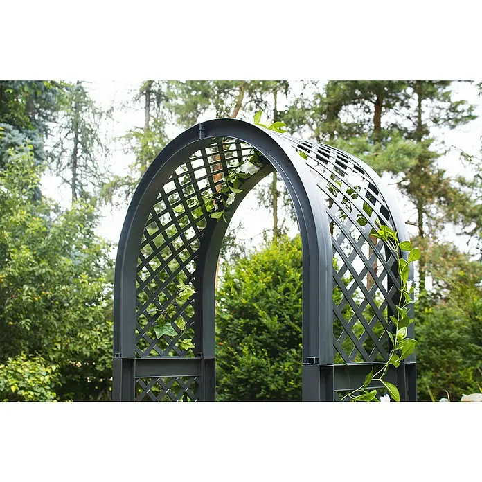 KHW Rosenbogen - Anthrazit, 100 x 43 x 207 cm - Blick auf einen dekorativen Gartenbogen, der mit grünen Pflanzen und weißen Blüten verziert ist, vor einem grünen Hintergrund.