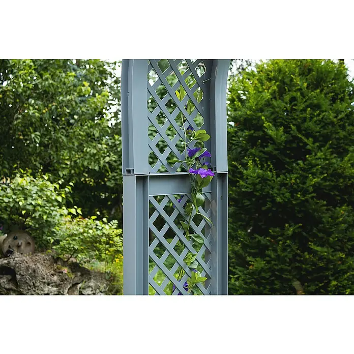 KHW Rosenbogen - Grau, 100 x 43 x 207 cm - Nahaufnahme eines grauen Gartenbogens mit einem zarten, violettblühenden Rankengewächs, das sich an den Streben emporwindet.