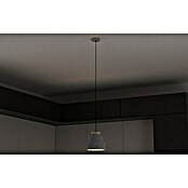 Spotlight Pendelleuchte Tristan (60 W, Beton, Höhe: 120 cm)