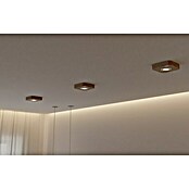 Spotlight LED-Deckenleuchte (5 W, Eiche, L x B x H: 14 x 14 x 3,5 cm)