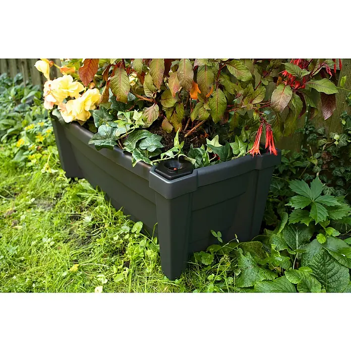 KHW Pflanzkasten Calypso - Außenmaß (L x B x H): 79 x 35 x 33 cm, Kunststoff, Anthrazit, Ohne Rankgitter - Ein dunkelgrauer Pflanzkasten im Garten mit bunten Blumen und grünen Pflanzen gefüllt, die eine natürliche und lebendige Atmosphäre schaffen.