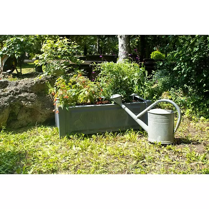 KHW Pflanzkasten - Außenmaß (L x B x H): 100 x 43 x 41 cm, Kunststoff, Grau - Graues, rechteckiges Hochbeet in einem sonnigen Garten, mit Pflanzen gefüllt. Eine Metallgießkanne steht daneben.