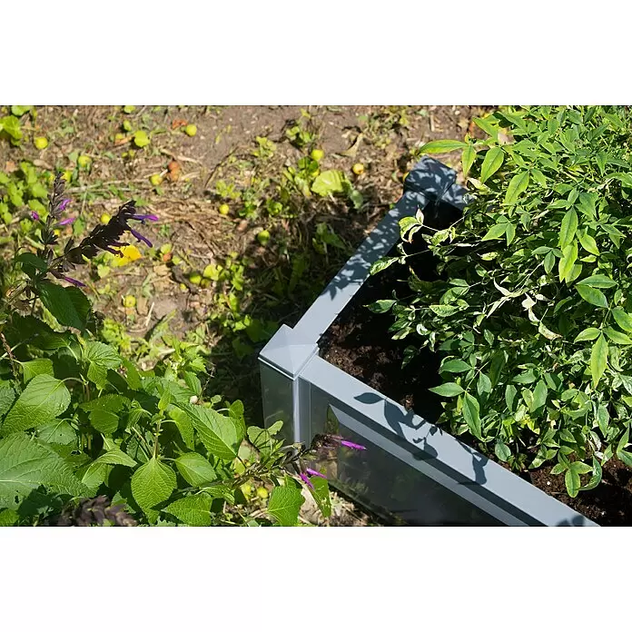 KHW Pflanzkasten - Außenmaß (L x B x H): 100 x 43 x 41 cm, Kunststoff, Grau - Graue Hochbeet-Ecke mit üppigen Pflanzen, draußen im Sonnenlicht.