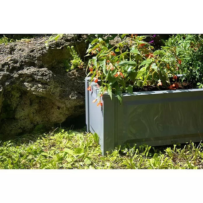 KHW Pflanzkasten - Außenmaß (L x B x H): 100 x 43 x 41 cm, Kunststoff, Grau - Grauer rechteckiger Blumenkasten mit orangen Blüten, draußen in einem Garten neben einem großen Stein.