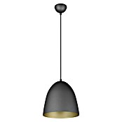 Reality Leuchten Pendelleuchte Tilda (40 W, Höhe: 150 cm, Schwarz, gold, E27) | BAUHAUS