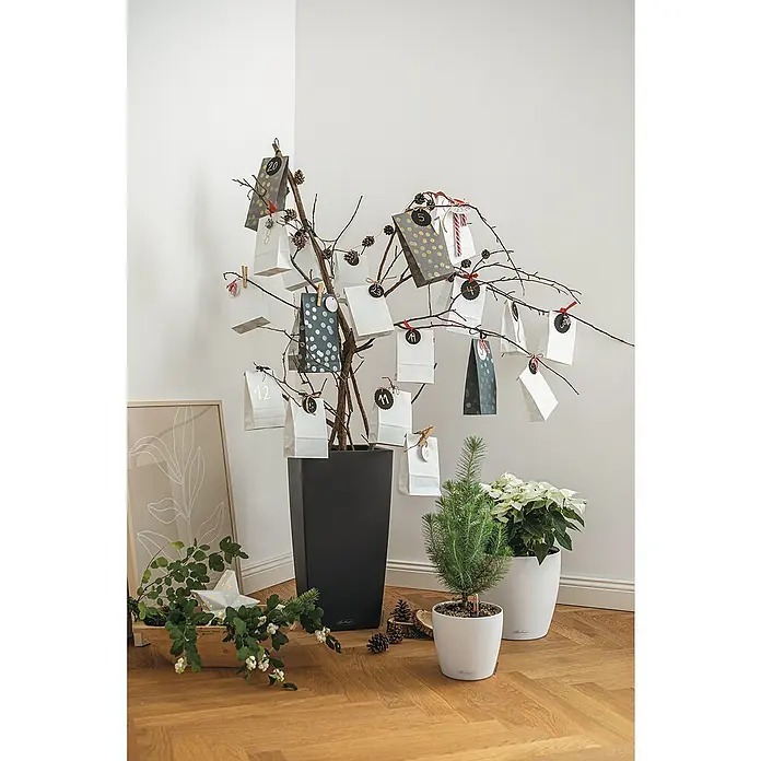 Lechuza Color Pflanzsäule eckig Cubico - Außenmaß (L x B x H): 40 x 40 x 75 cm, Kunststoff, Schiefergrau - Ein Adventskalenderbaum mit kleinen Tüten, beschriftet mit Zahlen, in einer stilvollen Inneneinrichtung mit Holzboden und weißen Wänden.