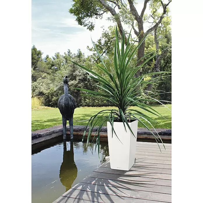 Lechuza Color Pflanzsäule eckig Cubico - Außenmaß (L x B x H): 30 x 30 x 56 cm, Kunststoff, Weiß - Stimmungsaufnahme