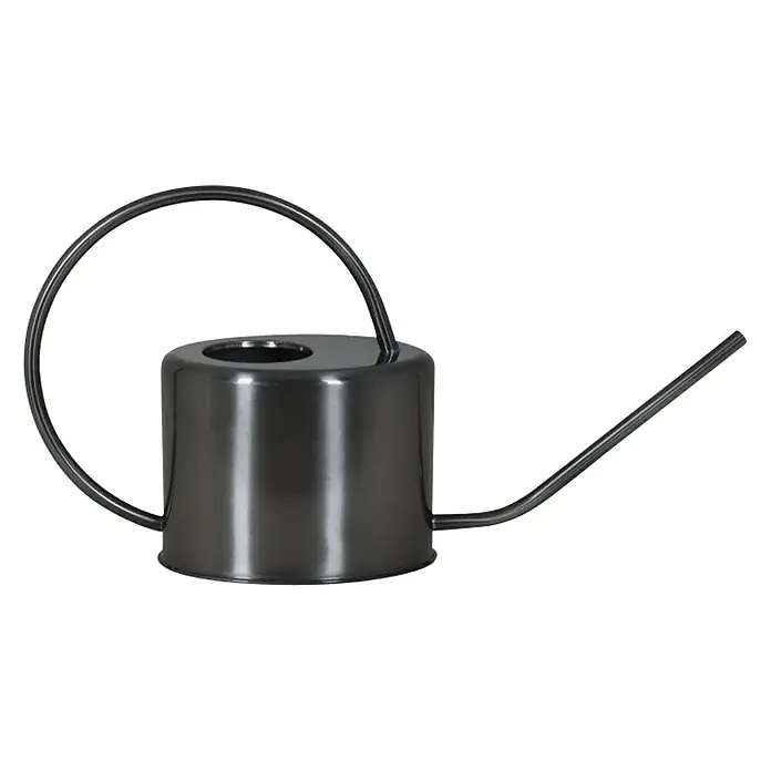 Gießkanne - Edelstahl, Oval, 1 l, Grau - Elegante, graue Gießkanne aus Metall mit langem Auslauf für Zimmerpflanzen. Stilvolle Bewässerung für den modernen Gartenfreund.