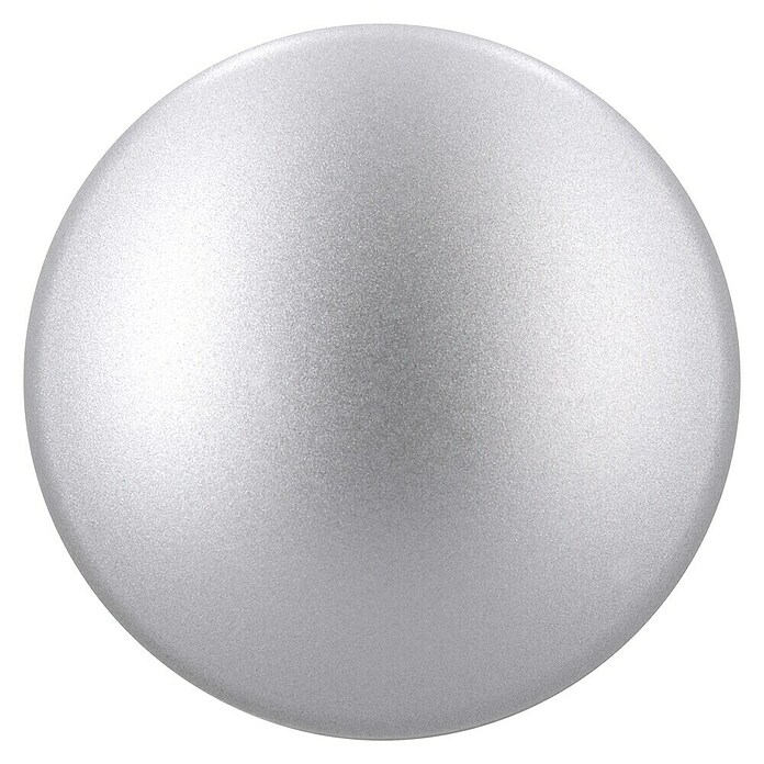 Siro Möbelknopf (Typ Möbelgriff: Knopf, Ø x H: 30 x 30 mm, Kunststoff, Silber) | BAUHAUS