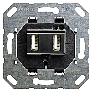 Steckdosen-USB-Einsatz 235900 (Schwarz, 2-fach, Unterputz)