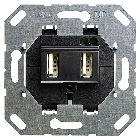 Gira  Steckdosen-USB-Einsatz 235900
