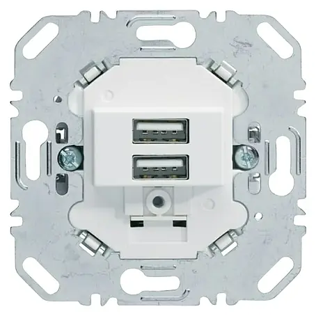 Berker  USB-Steckdose 260209