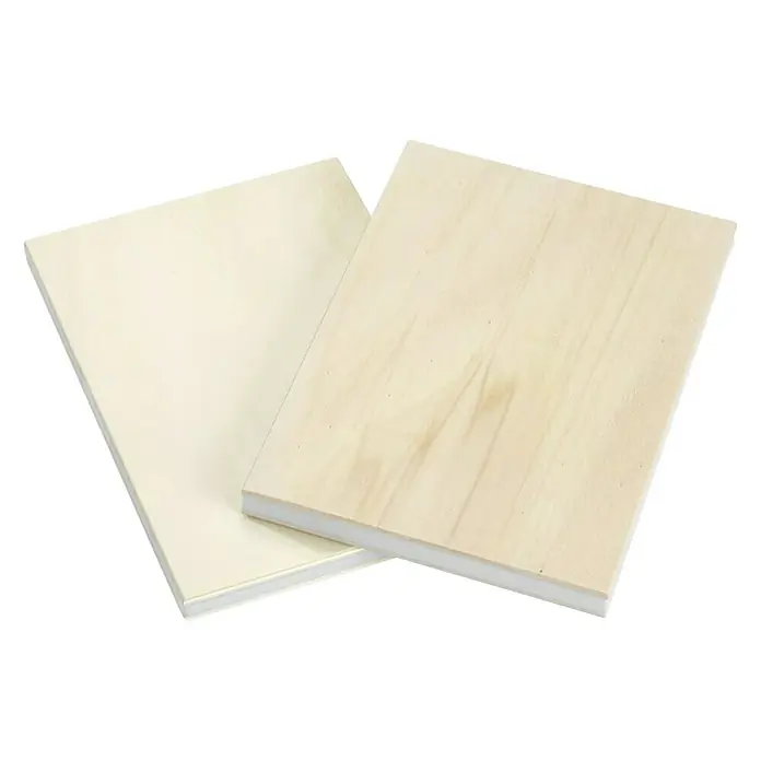 Garnica Ultralight Leichtbauplatte Fixmaß - Pappel, 800 x 600 x 12 mm - Zwei quadratische, helle Holzplatten mit weißem Schaumstoffkern, ideal für kreative Projekte und Bastelarbeiten.