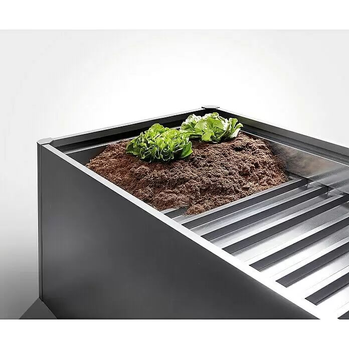 Biohort Zwischenboden - L x B: 100 x 393,7 cm - Dunkelgraues Metall-Pflanzgefäß mit Lattenrost, gefüllt mit Erde und zwei kleinen Salatpflanzen.